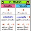 Род имен существительных в испанском языке